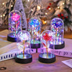 Weinloves 2025 LED Enchanted Galaxy Rose Eternal Rose Forever Rose In Glass